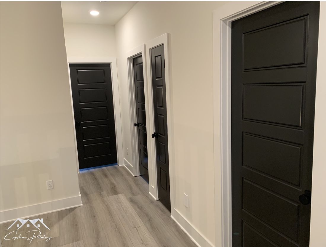 Hallway with matte black interior doors